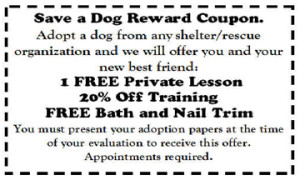Free Dog Training